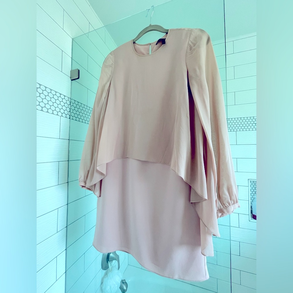 BCBG MaxAzria sheer dress. 100% silk